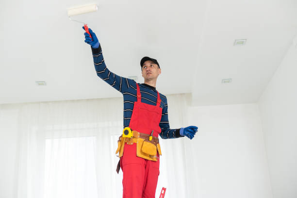 Best Drywall Removal and Disposal  in Pontiac, IL