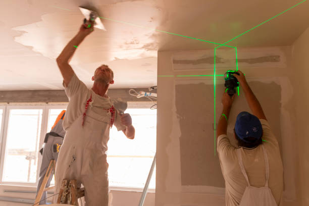 Best Drywall Crack Repair  in Pontiac, IL